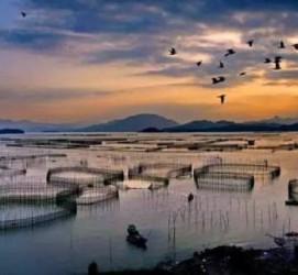 大竹伴游中国网景点丰富(旅游网介绍)