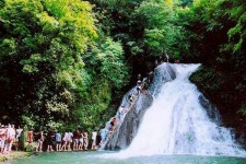 大竹旅遊(旅游攻略)