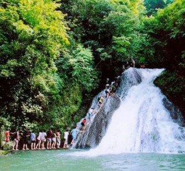 大竹旅遊(旅游攻略)