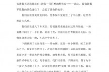 大竹旅游感想(张家界旅游感想)
