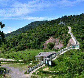 大竹休闲游(休闲旅游的含义及特点)