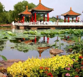 大竹长春旅游攻略(长春旅游攻略必去景点地图)