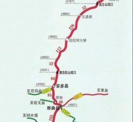 大竹自驾攻略(新疆s101省道自驾攻略)