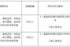 大竹重庆有雇用伴游外围吗(高端外围伴游雇用一单一结)
