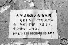大竹珠海伴游雇用网(珠海游览社雇用信息)