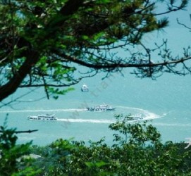 大竹中国伴游网与你分享旅游的点滴(中国伴游网与你分享旅游的点滴是什么)