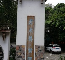 大竹关于伴游中国伴游你们伴得是什么游的信息