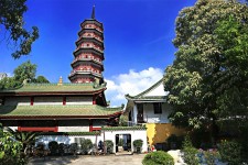 大竹广州自由行(广州 自由行)