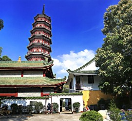 大竹广州自由行(广州 自由行)