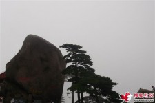 大竹上海伴游私家陪游雇用女模(上海伴游私家陪游雇用女模特)