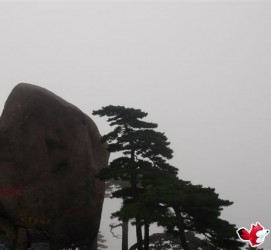 大竹上海伴游私家陪游雇用女模(上海伴游私家陪游雇用女模特)