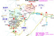 大竹旅游路线规划(旅游路线规划软件)