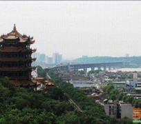 大竹武汉游玩攻略(武汉游玩攻略ppt)