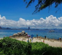 大竹自由行(自由行和跟团游哪个好)