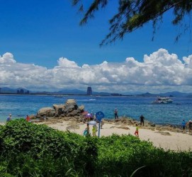 大竹自由行(自由行和跟团游哪个好)