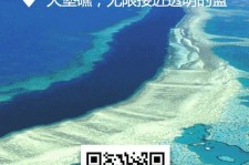 大竹中国250家旅行社结伴游新西兰(新西兰当地旅行社)