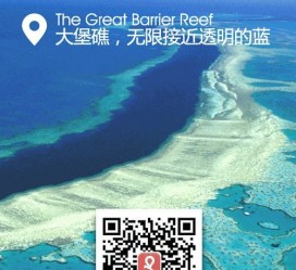 大竹中国250家旅行社结伴游新西兰(新西兰当地旅行社)