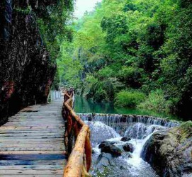大竹周边旅游(周边旅游景区哪里好玩)
