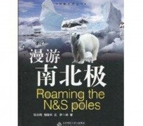 大竹游记攻略(ps西游记攻略)