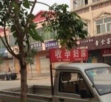 大竹上海伴游 用伴游造句大全(5
