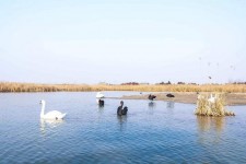 大竹南昌附近伴游小妹兼职(1534939978姐的微信德惠市)