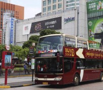 大竹上海私人伴游 上海过年怎么玩？这些“微游”线路了解下→