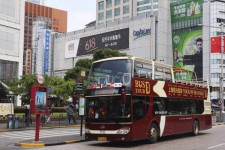 大竹上海私人伴游 上海过年怎么玩？这些“微游”线路了解下→