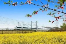 大竹高铁游(高铁游戏下载手机版)