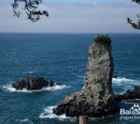 大竹旅游全攻略(上海旅游全攻略)