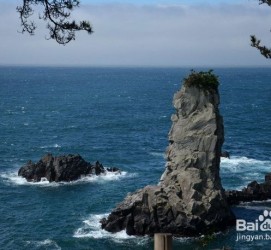 大竹旅游全攻略(上海旅游全攻略)