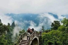 大竹二日游(二日游旅游攻略)