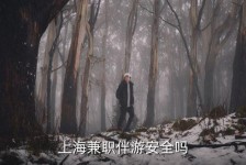 大竹上海私人伴游 上海伴游，上海兼职伴游安全吗