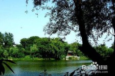 大竹西湖旅游攻略(上海到杭州西湖旅游攻略)