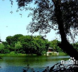 大竹西湖旅游攻略(上海到杭州西湖旅游攻略)