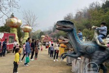 大竹中国伴游带你打卡网红南山竹海(南山竹海网上预约)