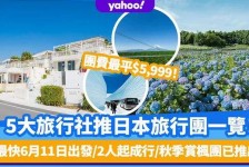大竹旅游价格(旅游价格机制)