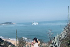 大竹厦门周边游(厦门及周边旅游攻略)