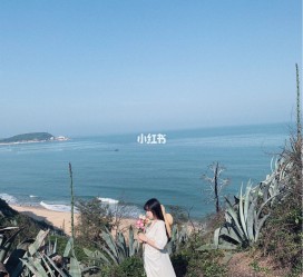大竹厦门周边游(厦门及周边旅游攻略)