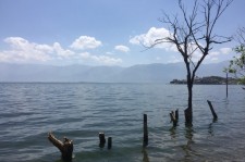 大竹洱海旅游攻略(洱海旅游攻略自由行)