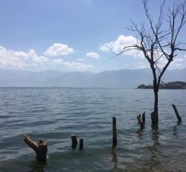 大竹洱海旅游攻略(洱海旅游攻略自由行)