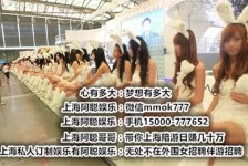 大竹雇用旅游男伴游(北京商务酒店雇用伴游)