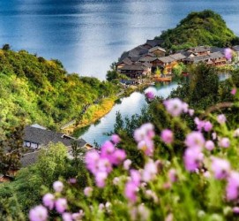 大竹旅遊(旅游景点)