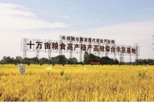 大竹关于成都商务伴游外围雇用的信息