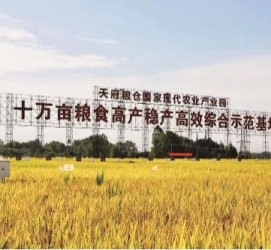 大竹关于成都商务伴游外围雇用的信息