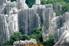 大竹贵阳市游览社英语伴游雇用(贵阳市前十名游览社是哪几家)
