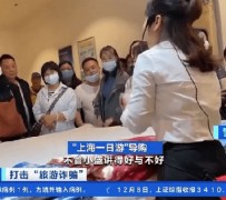 大竹上海私人伴游 看·法｜100元游上海？！“旅社”涉嫌诈骗被一窝端