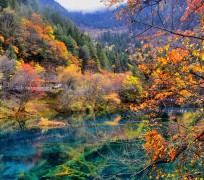 大竹四川旅游攻略(四川旅游攻略十五日游)