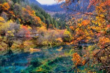 大竹四川旅游攻略(四川旅游攻略十五日游)