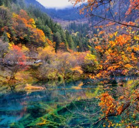 大竹四川旅游攻略(四川旅游攻略十五日游)
