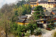 大竹南京周边游(南京周边游景点大全 自驾车旅游)